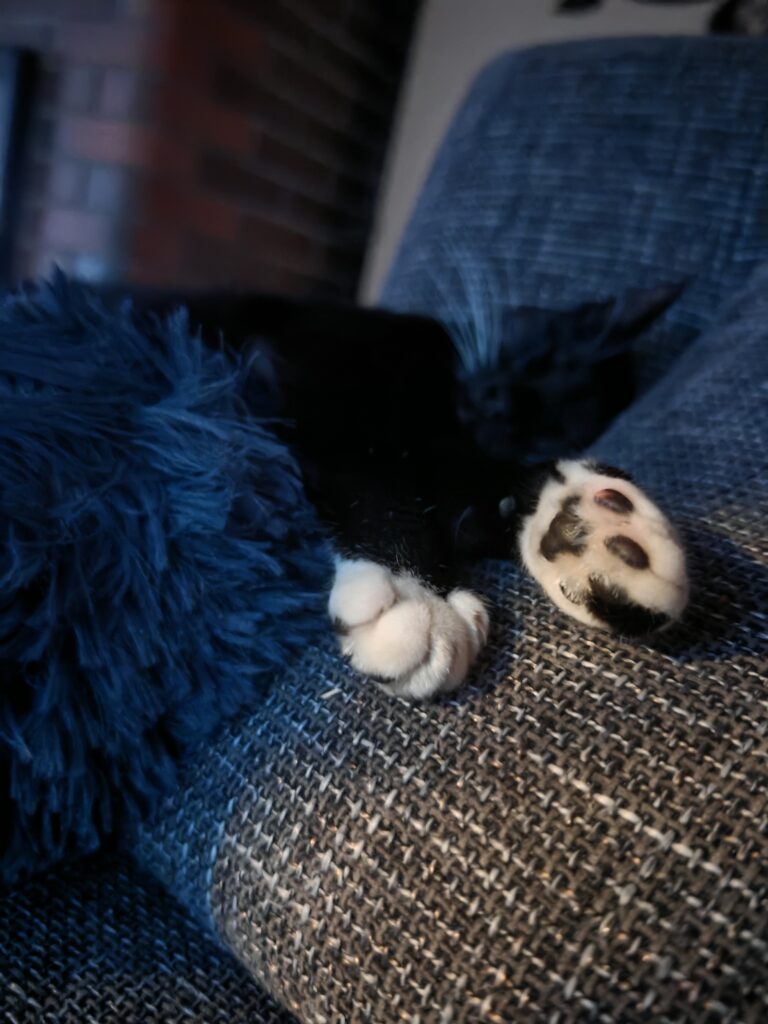 img 20250615 233409 img 20250615 233409