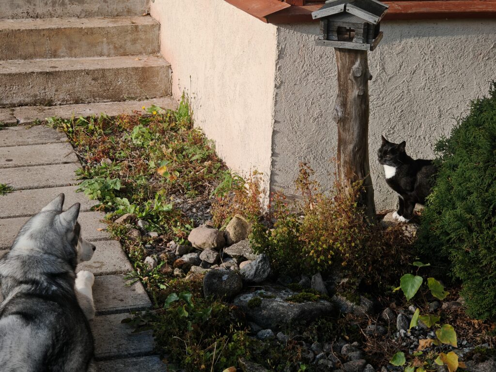 img 20251018 104623 img 20251018 104623