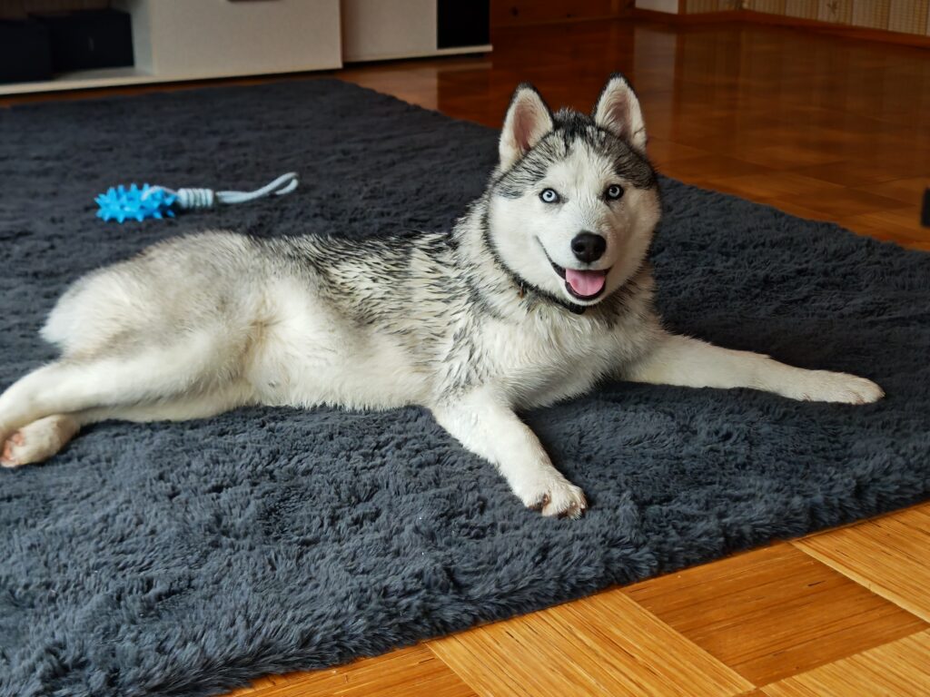 img 20251030 124717 img 20251030 124717